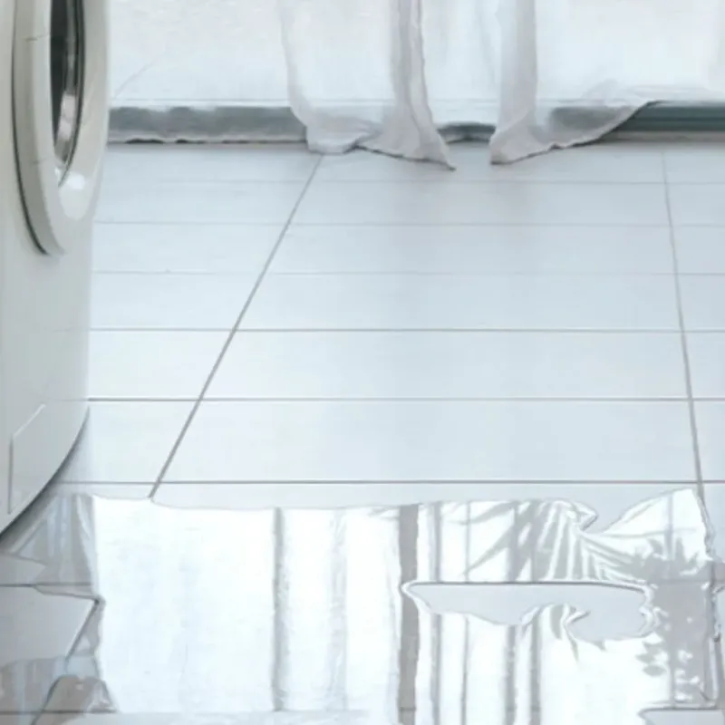 Appliance Leak Cleanup in Wales, MA