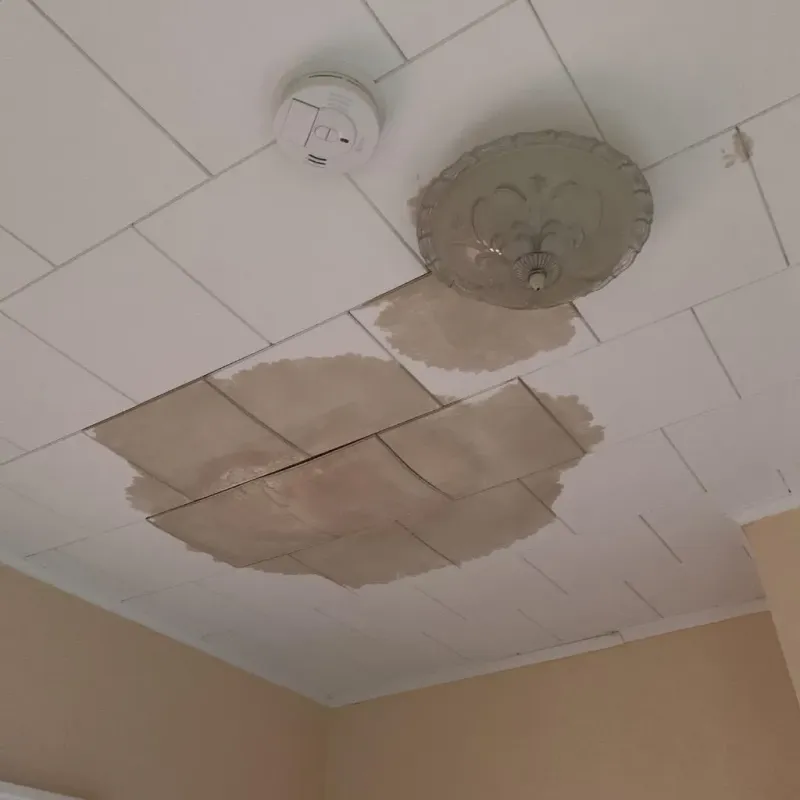 Ceiling Water Damage Repair in Wales, MA