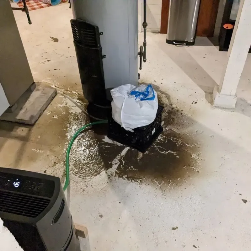 Sewage Backup Cleanup Service in Wales, MA